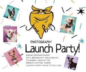 Junebug Photography Launch Party